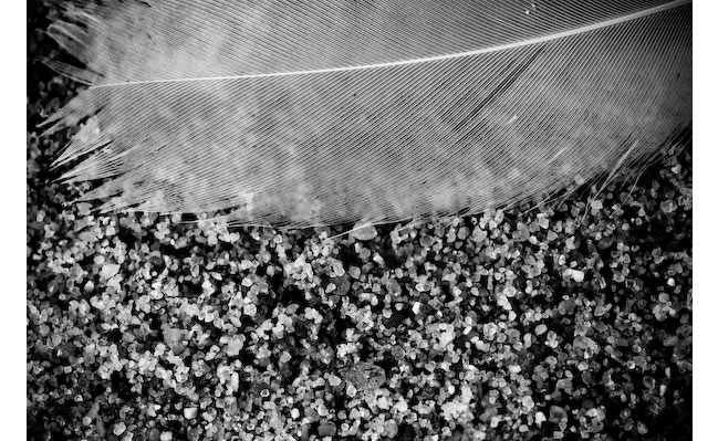 black and white beach photo
