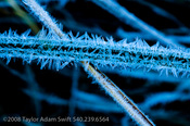 _dsc0775.nef
